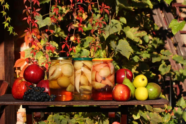 Conserven van vruchten — Stockfoto