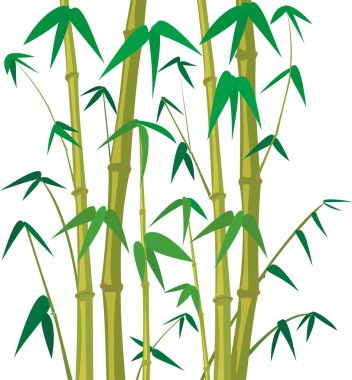 Bamboo wood - background clipart