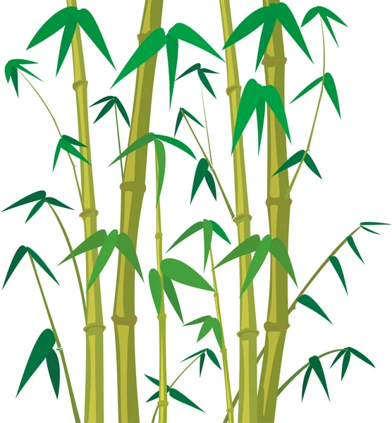 Madeira de bambu - fundo —  Vetores de Stock