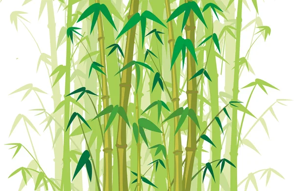 Bamboo jungle - background — Stock Vector