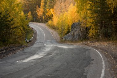 Sonbahar ormanında yol