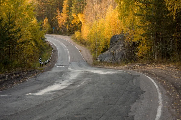 Droga w jesiennym lesie — Zdjęcie stockowe