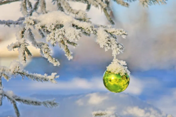 Giocattolo di Natale su un ramo d'albero — Foto Stock