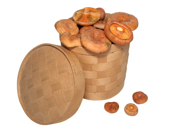 stock image Basket from a birch bark with saffron milk caps it is isolated