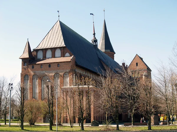 Kaliningrad, russland. eine Kathedrale. — Stockfoto