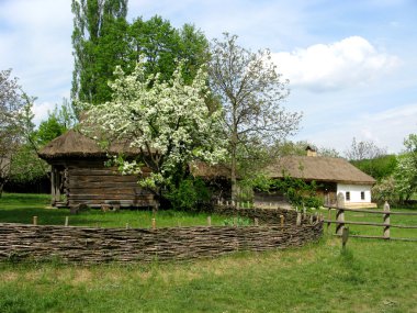 Rural landscape of Ukraine clipart