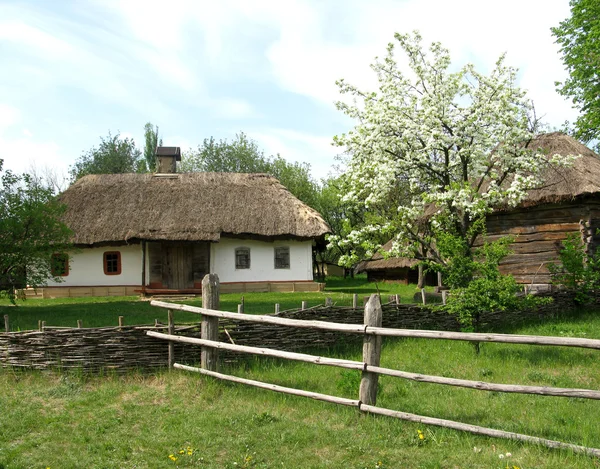 Rural landscape of Ukraine — Stock Photo, Image