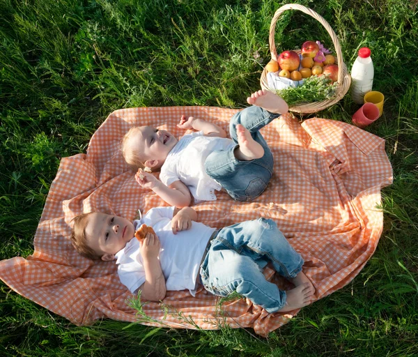 Picknick — Stockfoto