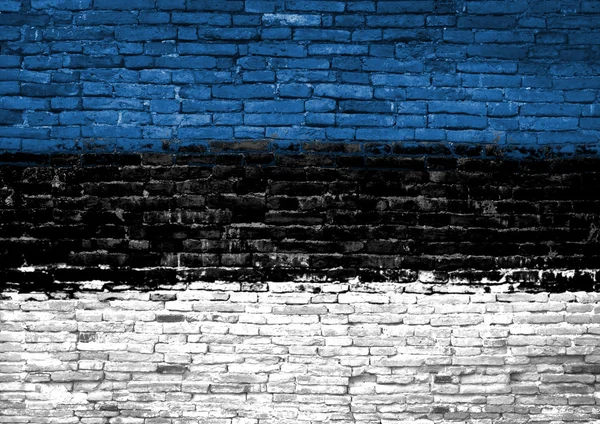 Drapeau Estonie peint sur le mur — Photo