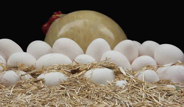 Huevo ecológico —  Fotos de Stock