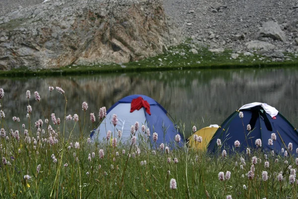 stock image Camping