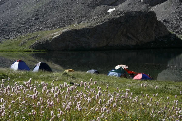 stock image Camping