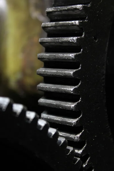 Gear wheel — Stock Photo, Image