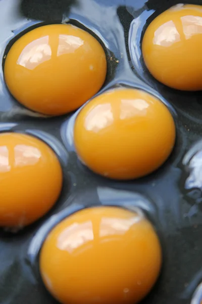 I enkel omelett panne laget av pisket – stockfoto