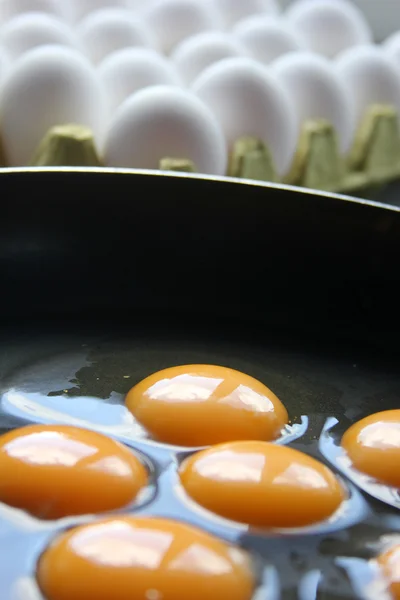 E uma panela de omelete de ovo de fibra moldada — Fotografia de Stock