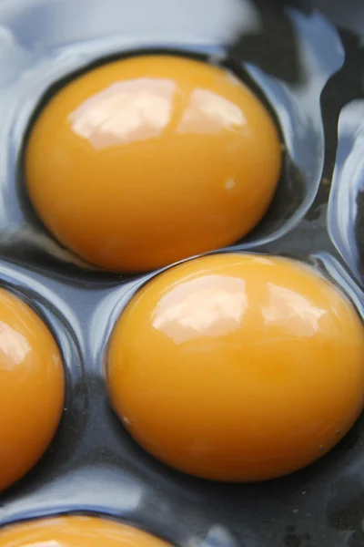 In schlichter Omelettpfanne aus Schlagsahne — Stockfoto