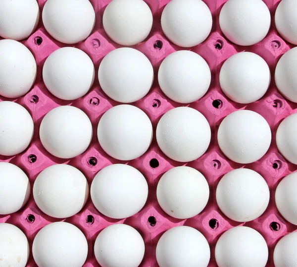 Een gegoten vezel ei — Stockfoto
