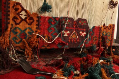 Rug Anatolian motifs clipart