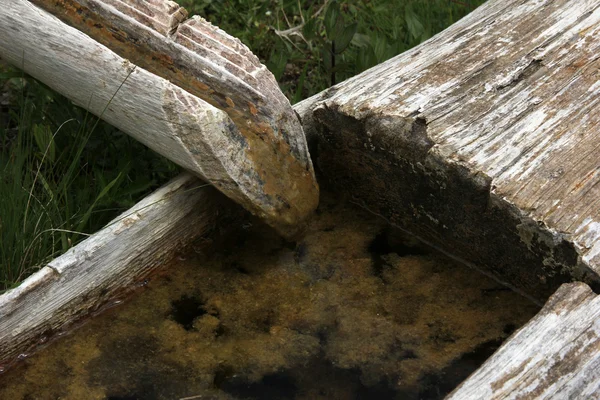 Water trough — Stock Photo, Image
