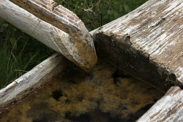 stock image Water trough