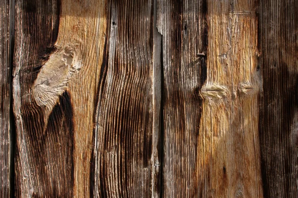 Porte en bois — Photo