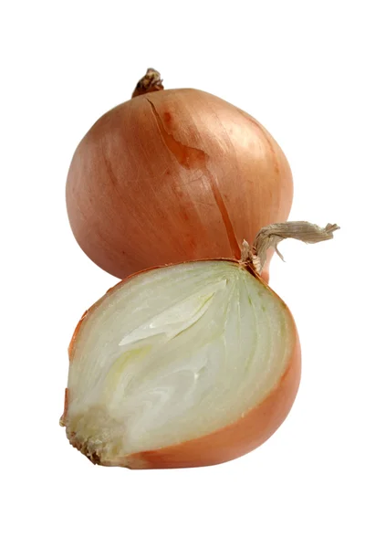 Dry Onion — Stock Photo, Image