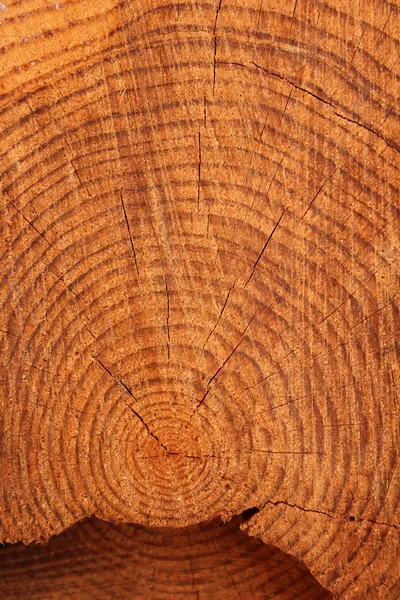 Wooden — Stock Photo, Image