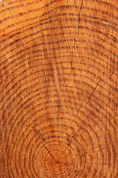 Van hout — Stockfoto