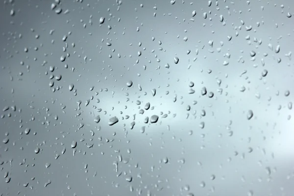 Rain droplet — Stock Photo, Image