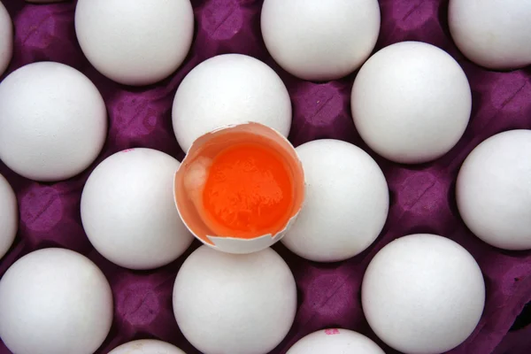 Organic Egg — Stock Photo, Image
