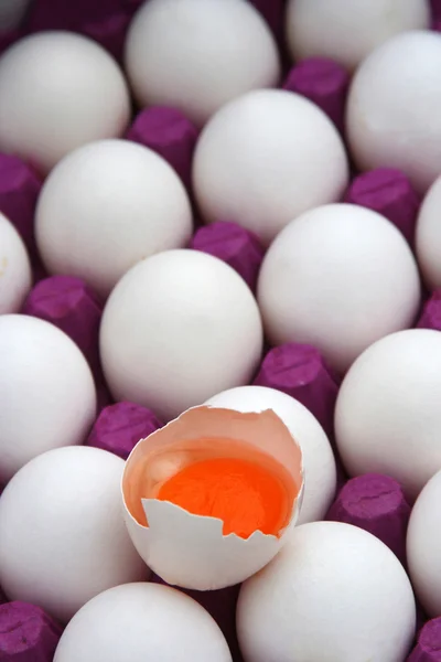有機卵 — ストック写真