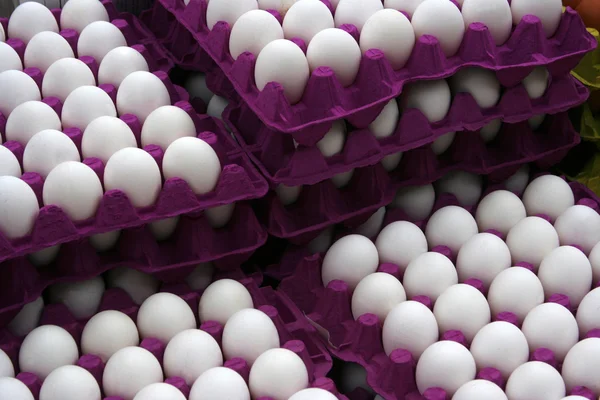 Biologische eieren — Stockfoto