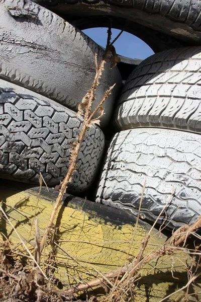 오래 된 타이어 — 스톡 사진