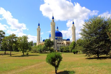 Islam temple of the South Russia clipart