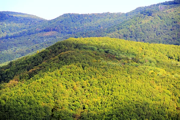 Καλοκαίρι τοπίων με καταπράσινα βουνά του Καυκάσου — Φωτογραφία Αρχείου