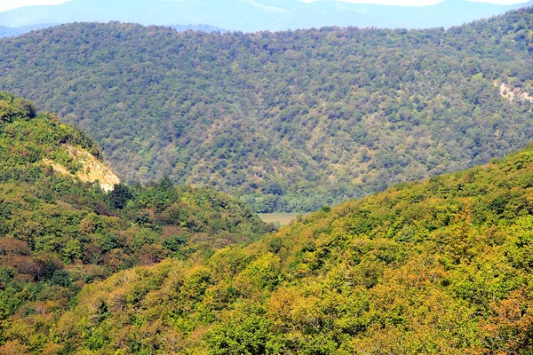 Paesaggio estivo con montagne verdi del Caucaso — Foto Stock