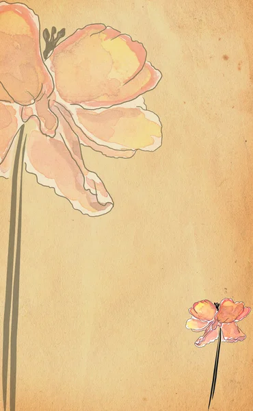 Papel velho com flor — Fotografia de Stock