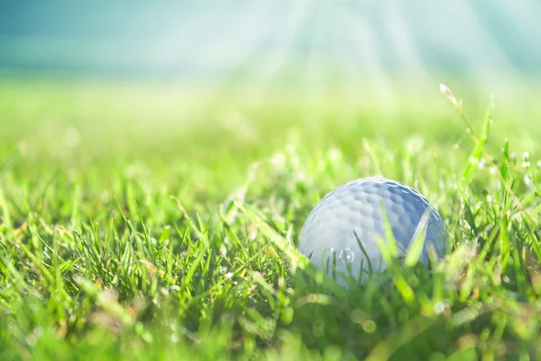 stock image Golf ball on green grass course, closeup shot