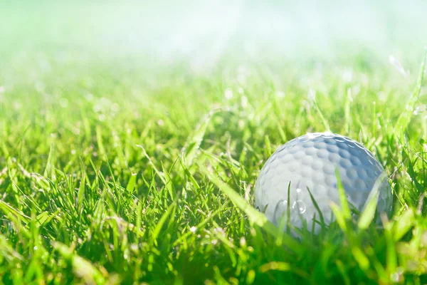 stock image Golf ball on green grass course, closeup shot