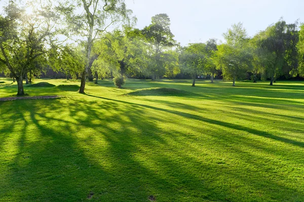 Tramonto o alba su un campo da golf britannico — Foto Stock