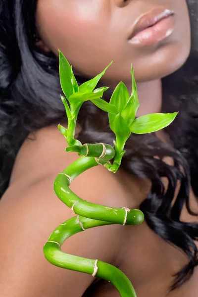 Bella donna con foglie di bambù, primo piano colpo — Foto Stock