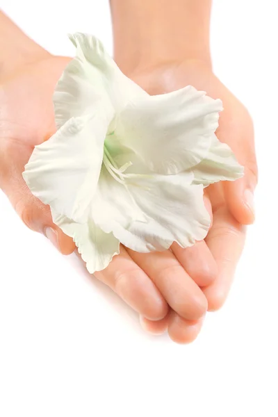 Hermosas manos de mujer con una flor tropical blanca, primer plano — Foto de Stock