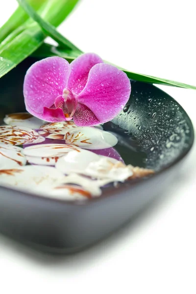 水疗概念： 紫色兰花、 竹、 壳在一碗水 — Stock fotografie