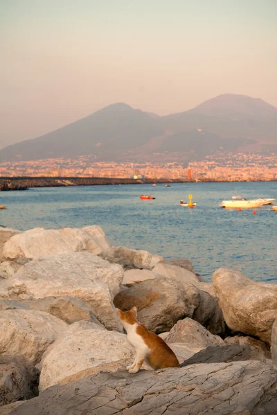 Napoli liman