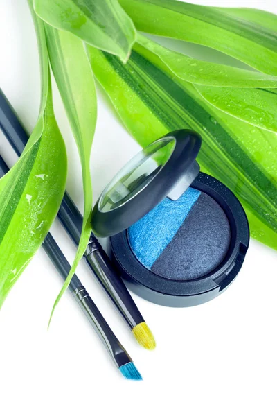Concetto cosmetico naturale: ombretto duo e pennelli trucco con — Foto Stock
