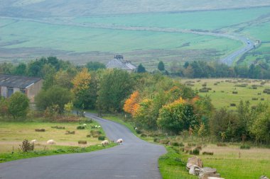 Countryside landscape in Peak District, UK clipart