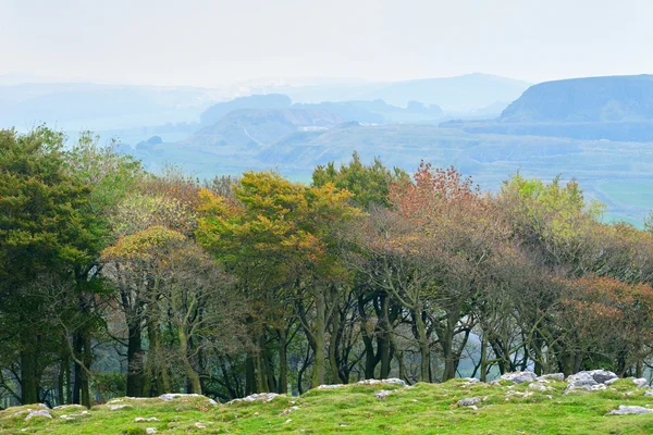 Herbstlandschaft im Peak District — Stockfoto