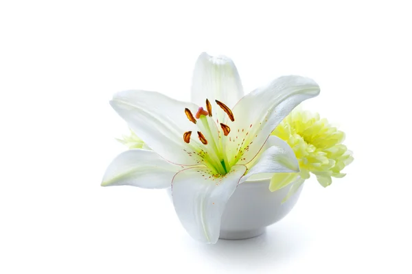 Liliy flower in a bowl — Stock Photo, Image