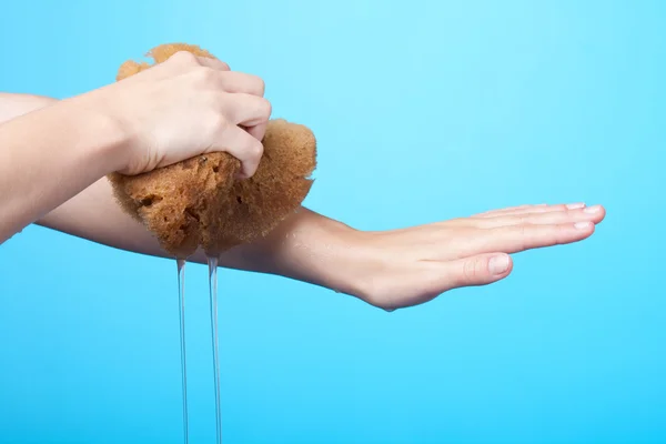 Mytí rukou s přírodní houba — Stock fotografie