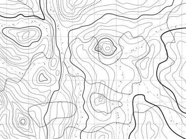 Abstract topographical map with no names